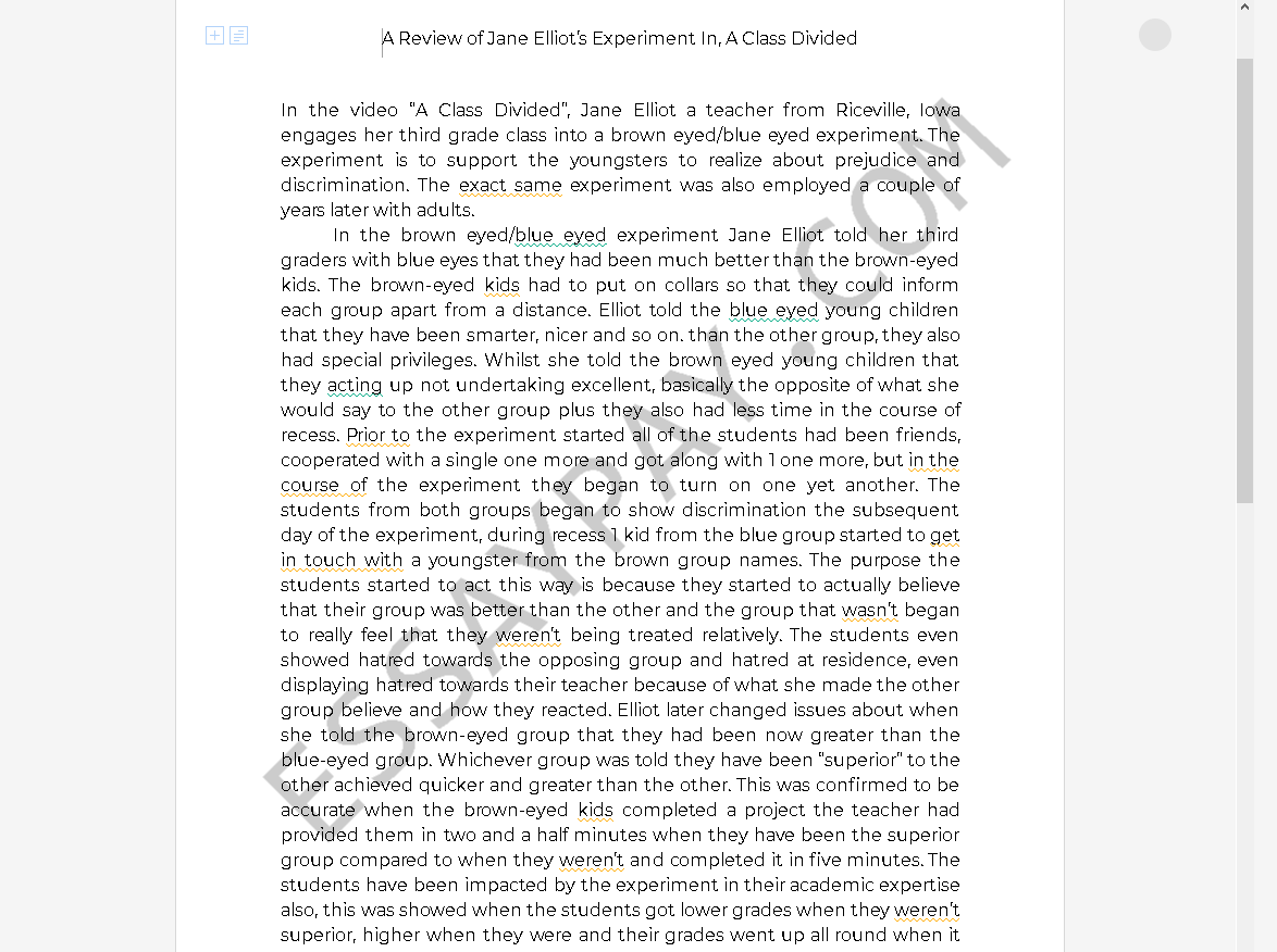 a class divided essay