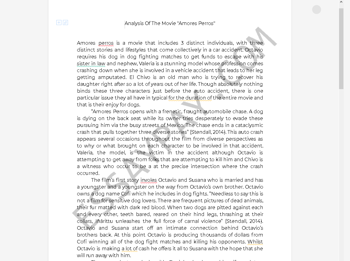 amores perros analysis - Free Essay Example
