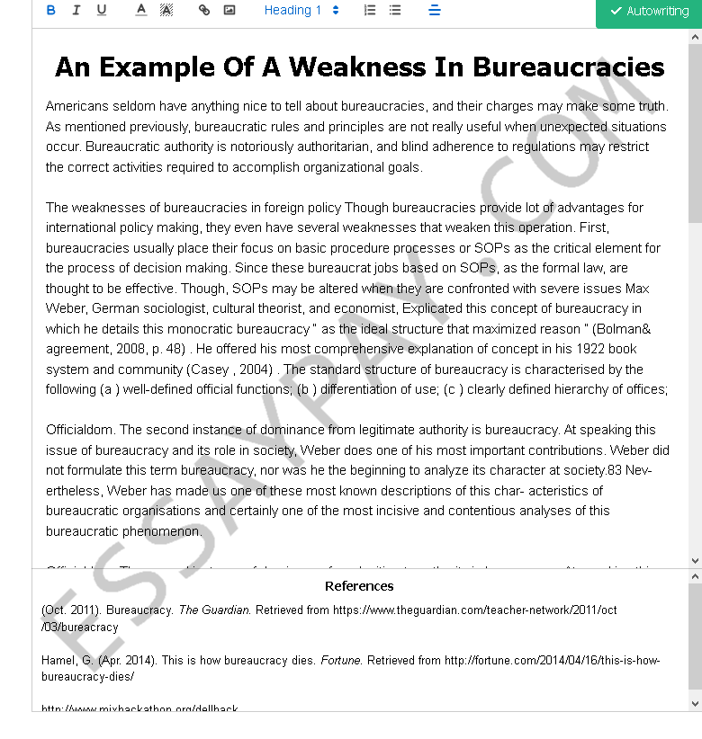 an example of a weakness in bureaucracies - Free Essay Example