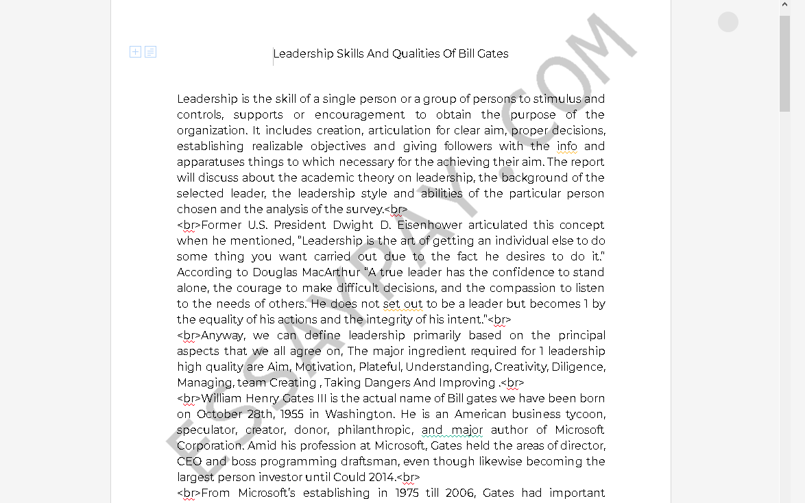 bill gates leadership essay