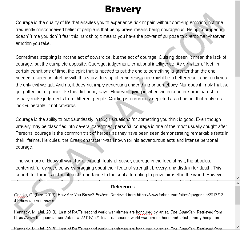 demonstrating bravery essay examples
