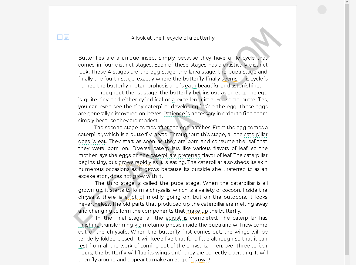 butterfly essay - Free Essay Example