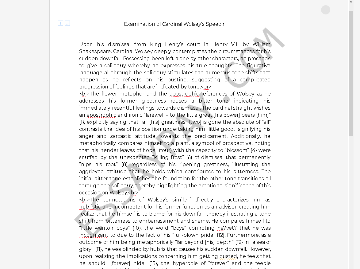 cardinal wolsey speech - Free Essay Example