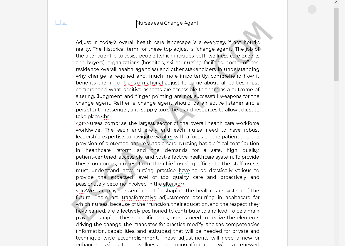 change agent essay