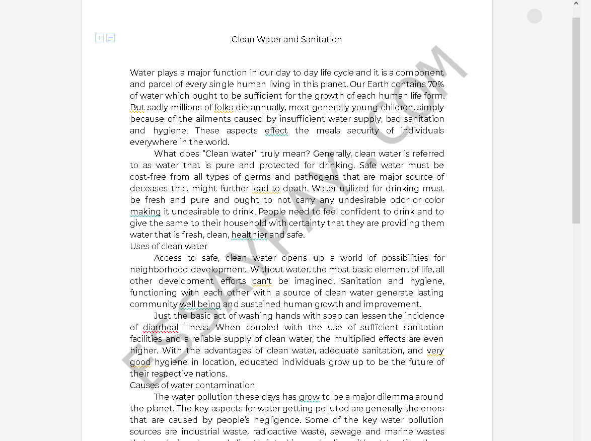 clean water essay - Free Essay Example