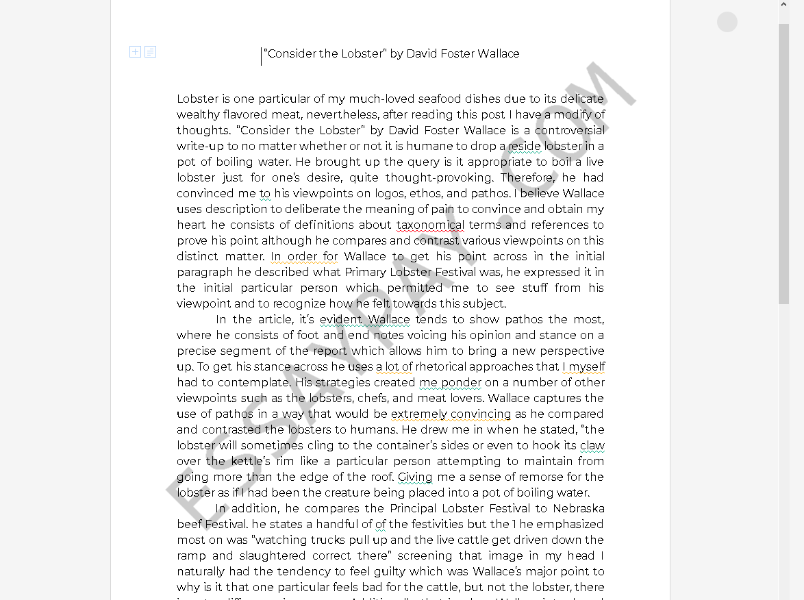 david foster wallace grammar essay