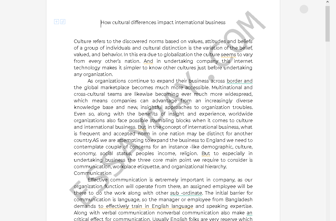 cultural differences issues essay