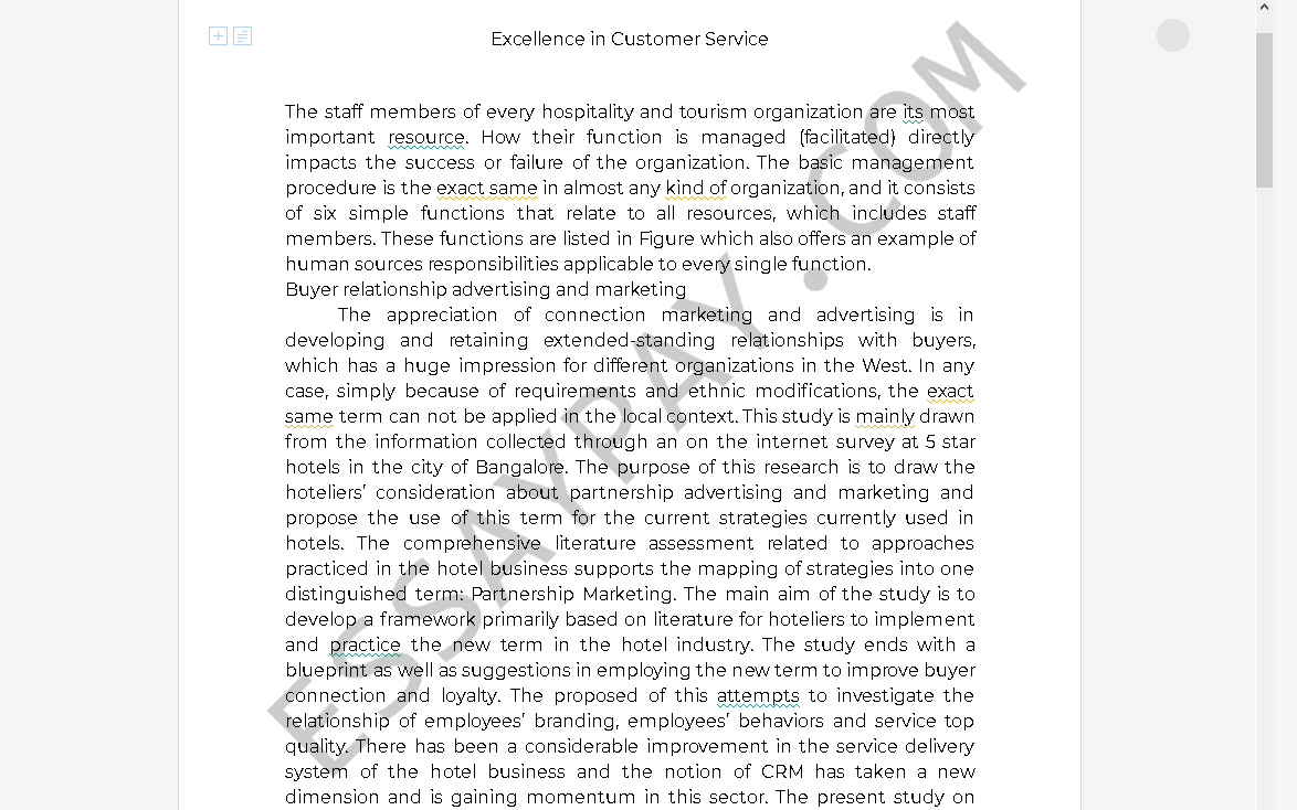 customer service essay in english