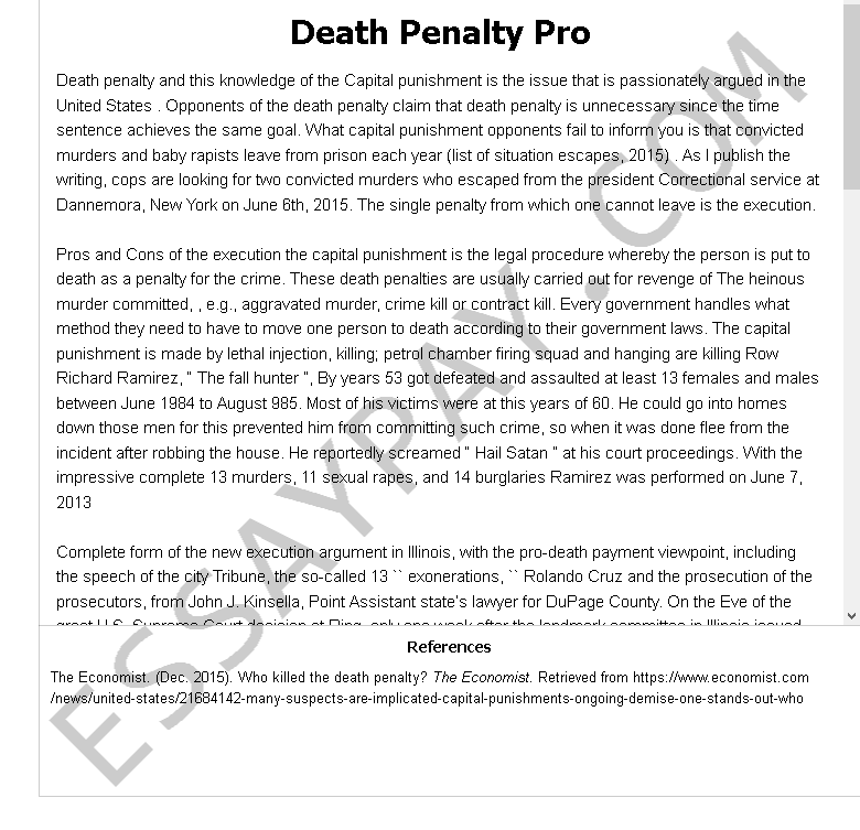 essay about death penalties