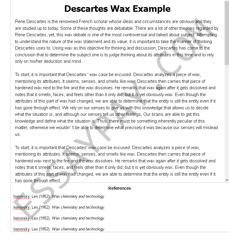 descartes wax example - Free Essay Example