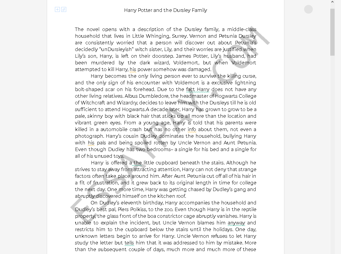 dursley family - Free Essay Example