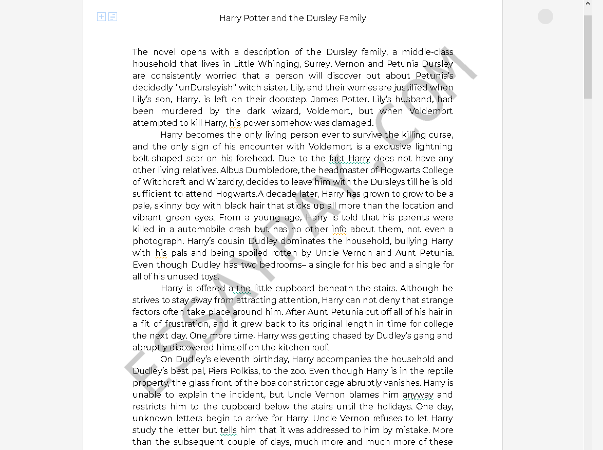 harry potter english essay