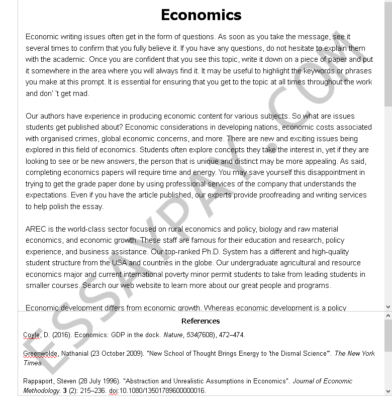 how to write a university economics essay