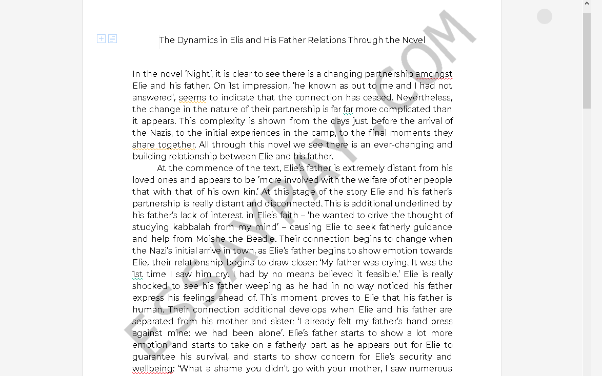 Father and son relationship essay
