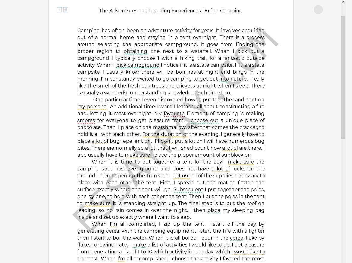 essay on camping trip