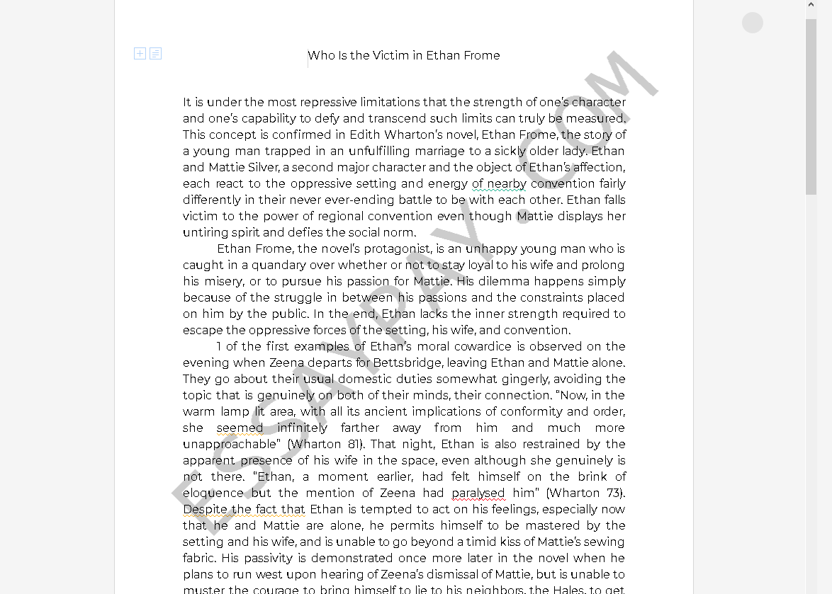 ethan frome essay - Free Essay Example