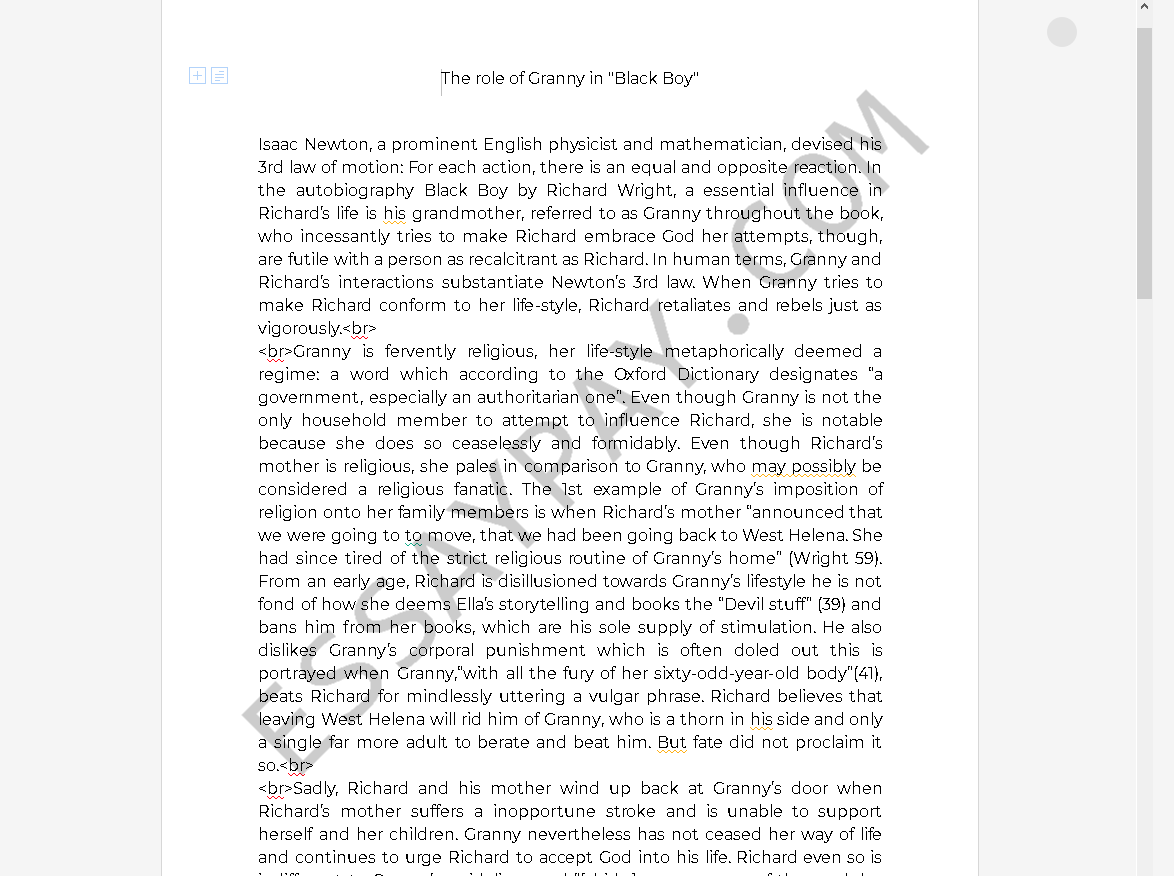 Black Boy Essay Example For Students - words | Artscolumbia