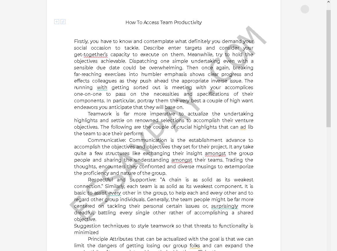 how to access team productivity - Free Essay Example