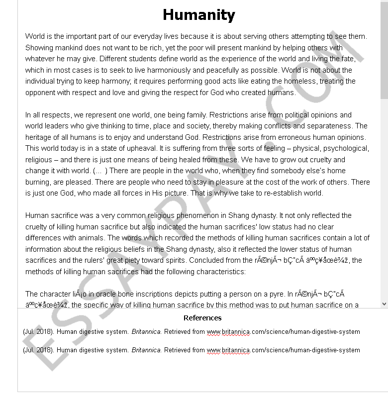 humanity  - Free Essay Example