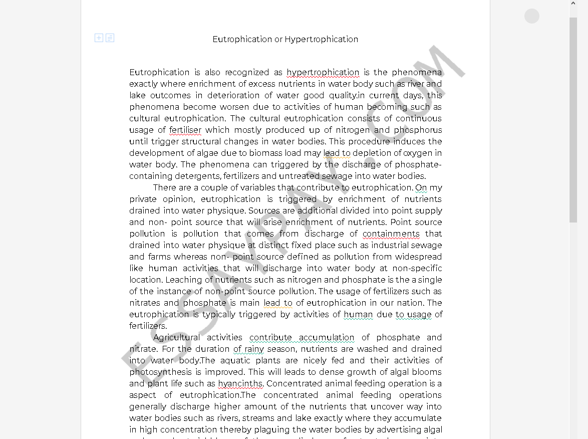 hypertrophication - Free Essay Example
