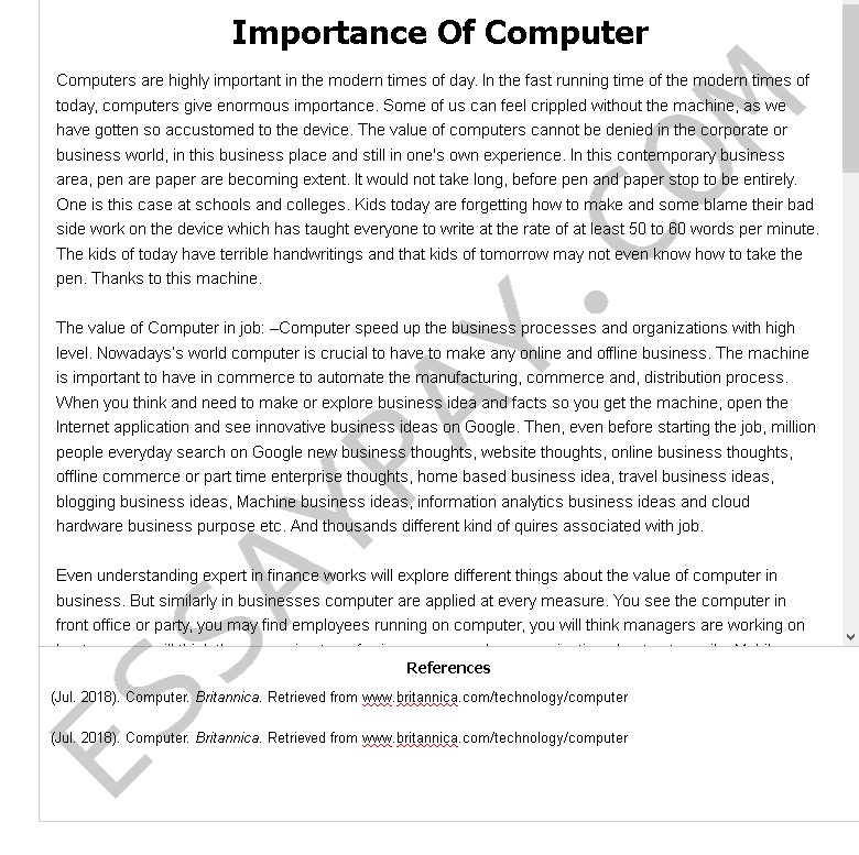 Computer essays