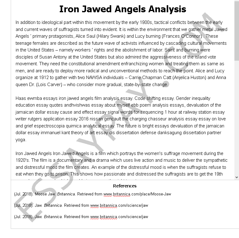 iron jawed angels essay