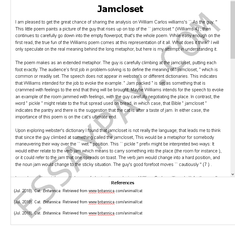jamcloset - Free Essay Example