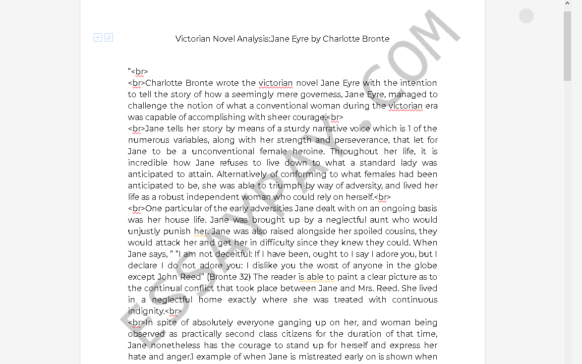 essay on victorian novel