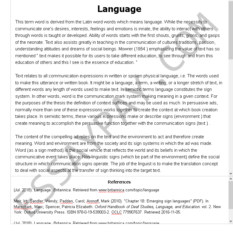 what is language essay example