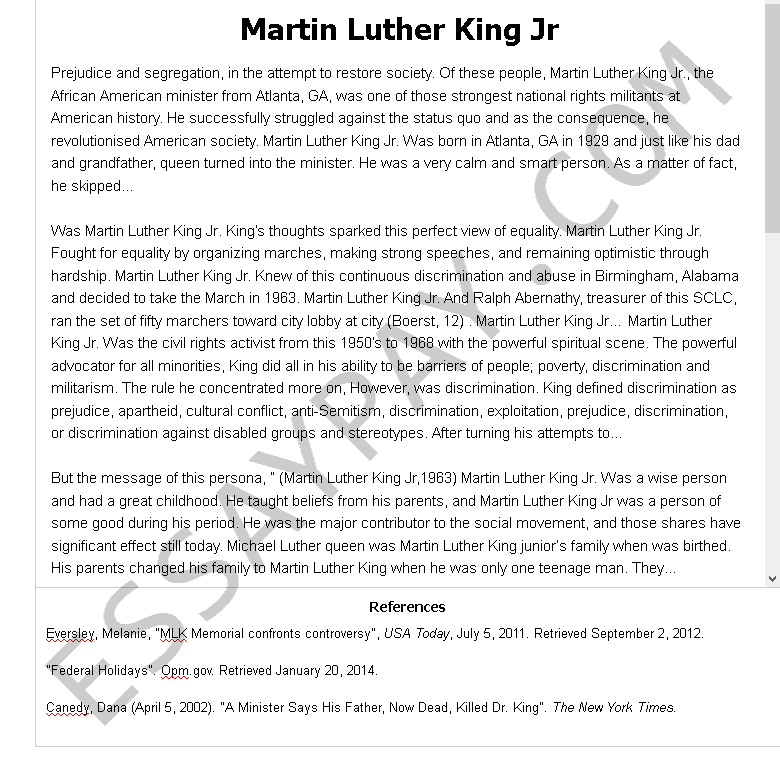 essays on martin luther