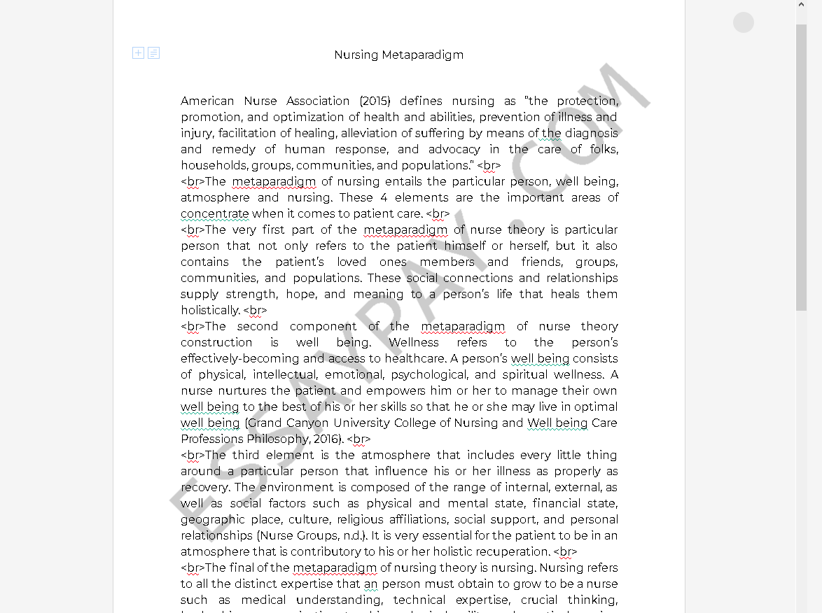 Nursing philosophy paper metaparadigm