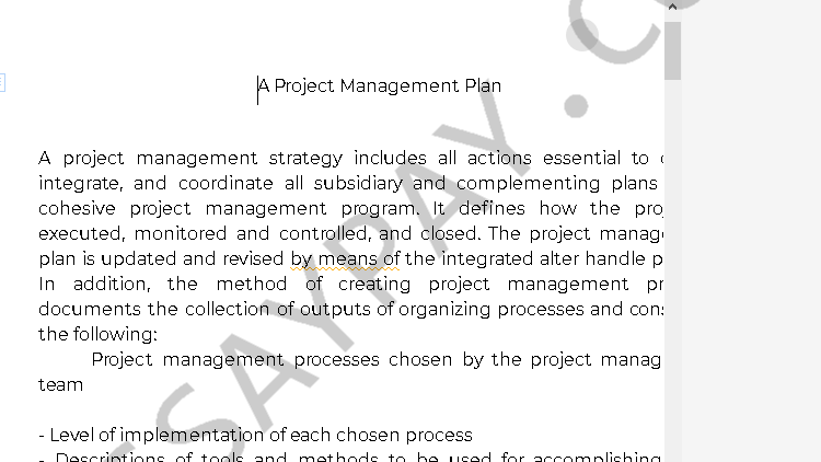 short essay about project planning