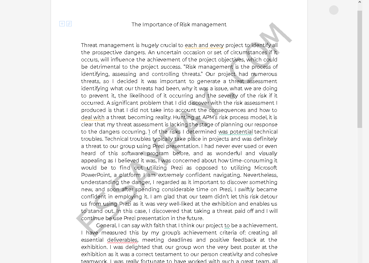 risk management importance essay