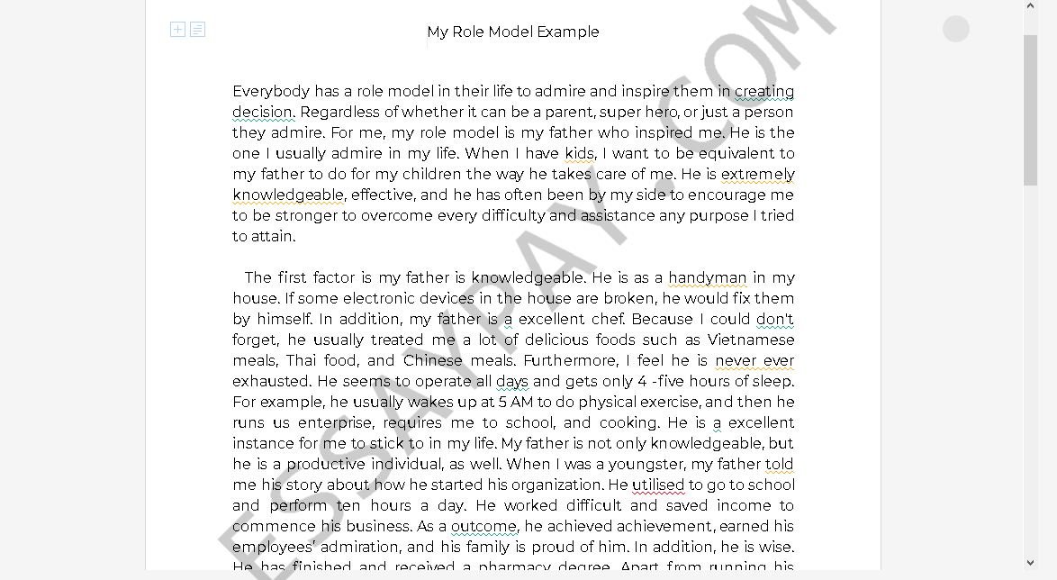 role model essay - Free Essay Example