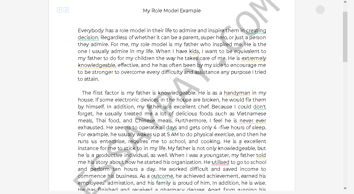 My Role Model Example Essay Example 597 Words Essaypay