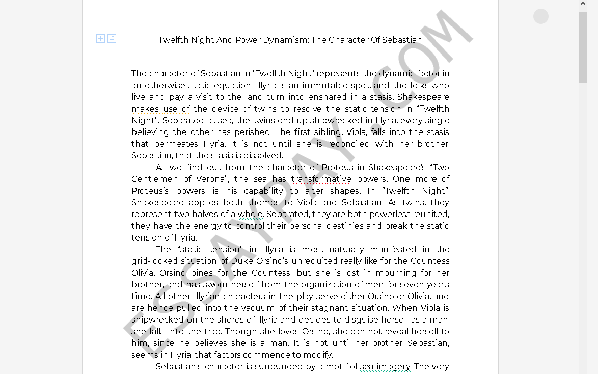 twelfth night essay