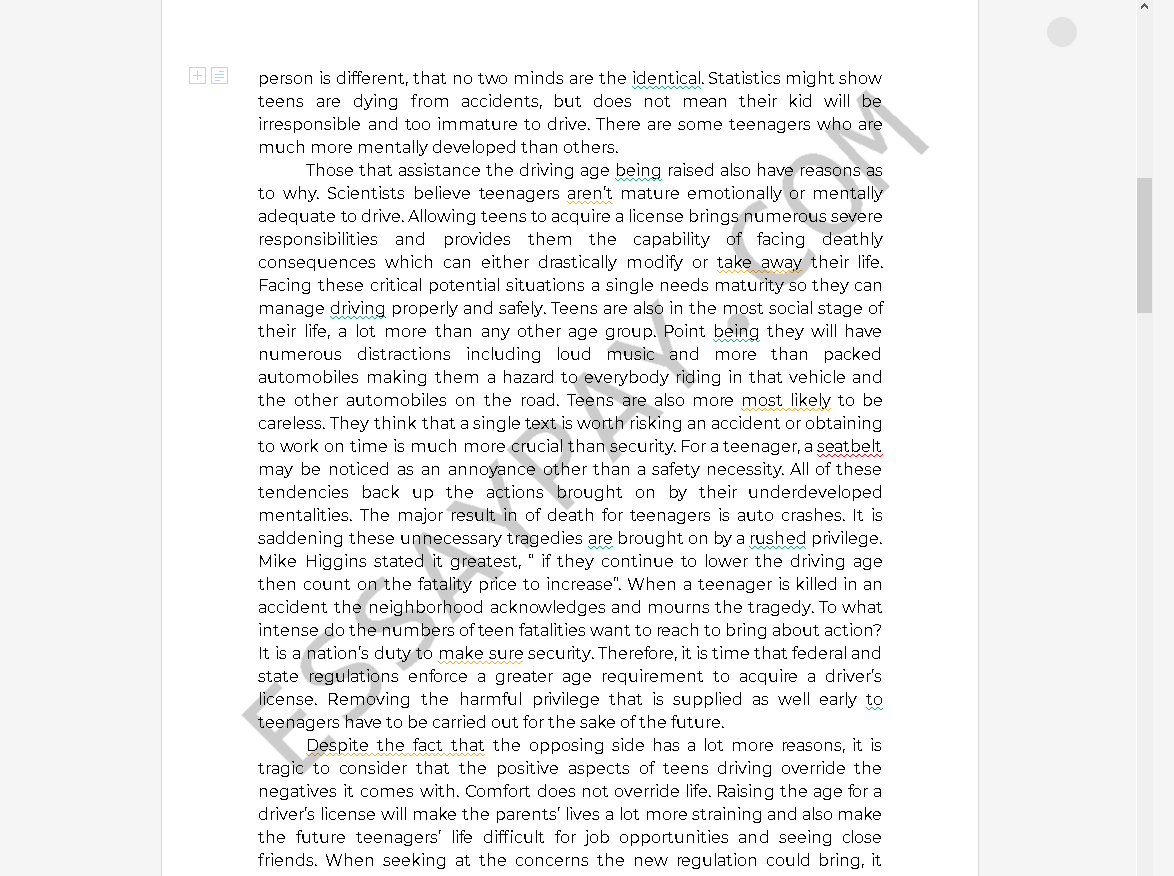 persuasive essay on driving age