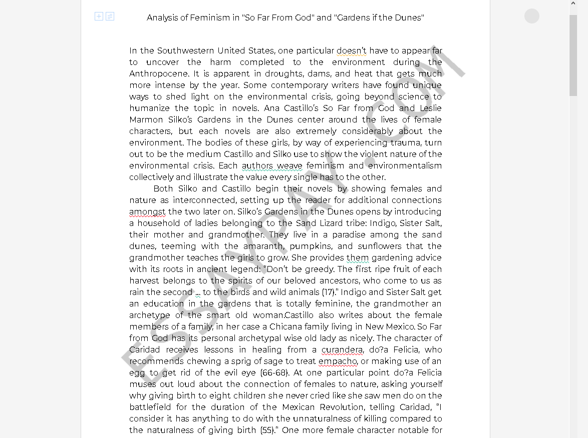 so far from god analysis - Free Essay Example