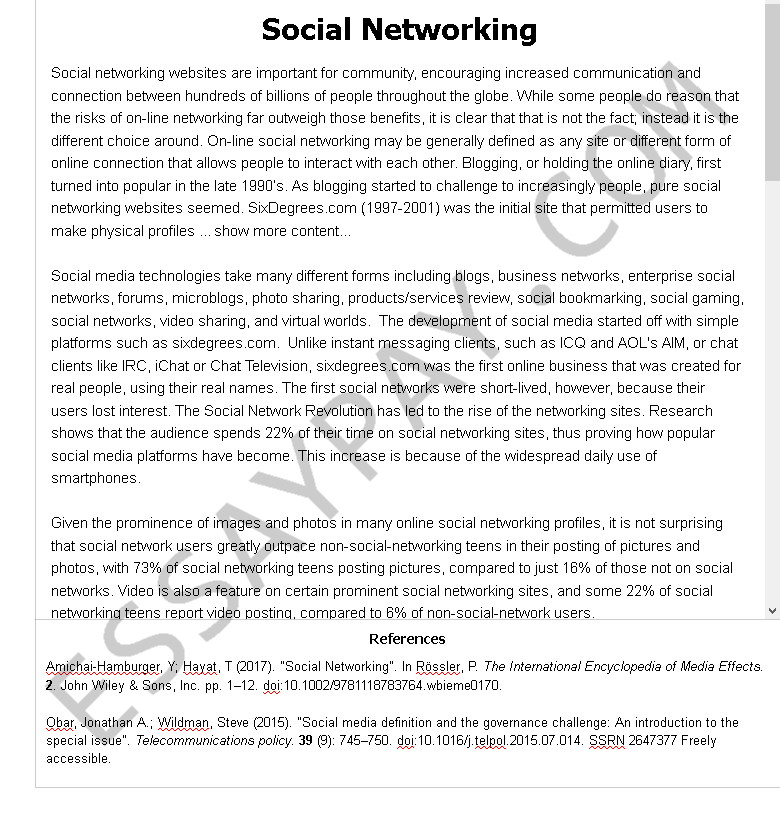 networking essay examples