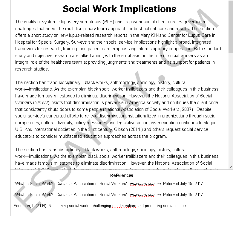 scope of social work essay