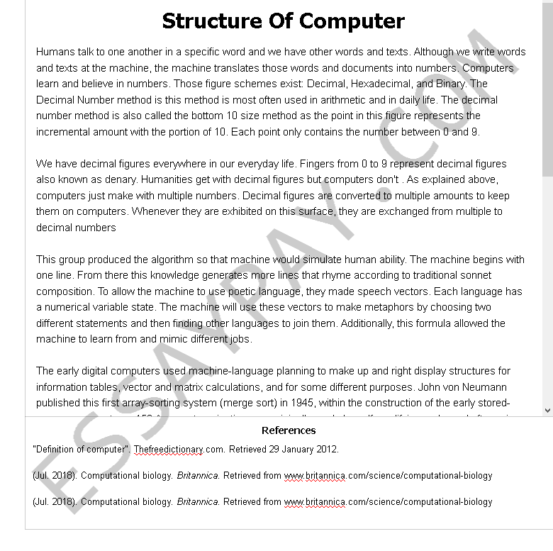 computer essay with heading