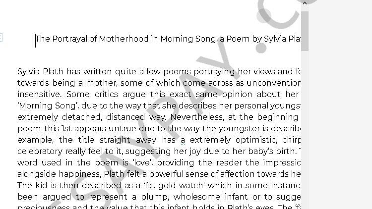 sylvia plath motherhood - Free Essay Example