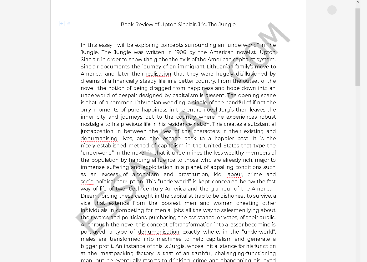 the jungle essay - Free Essay Example