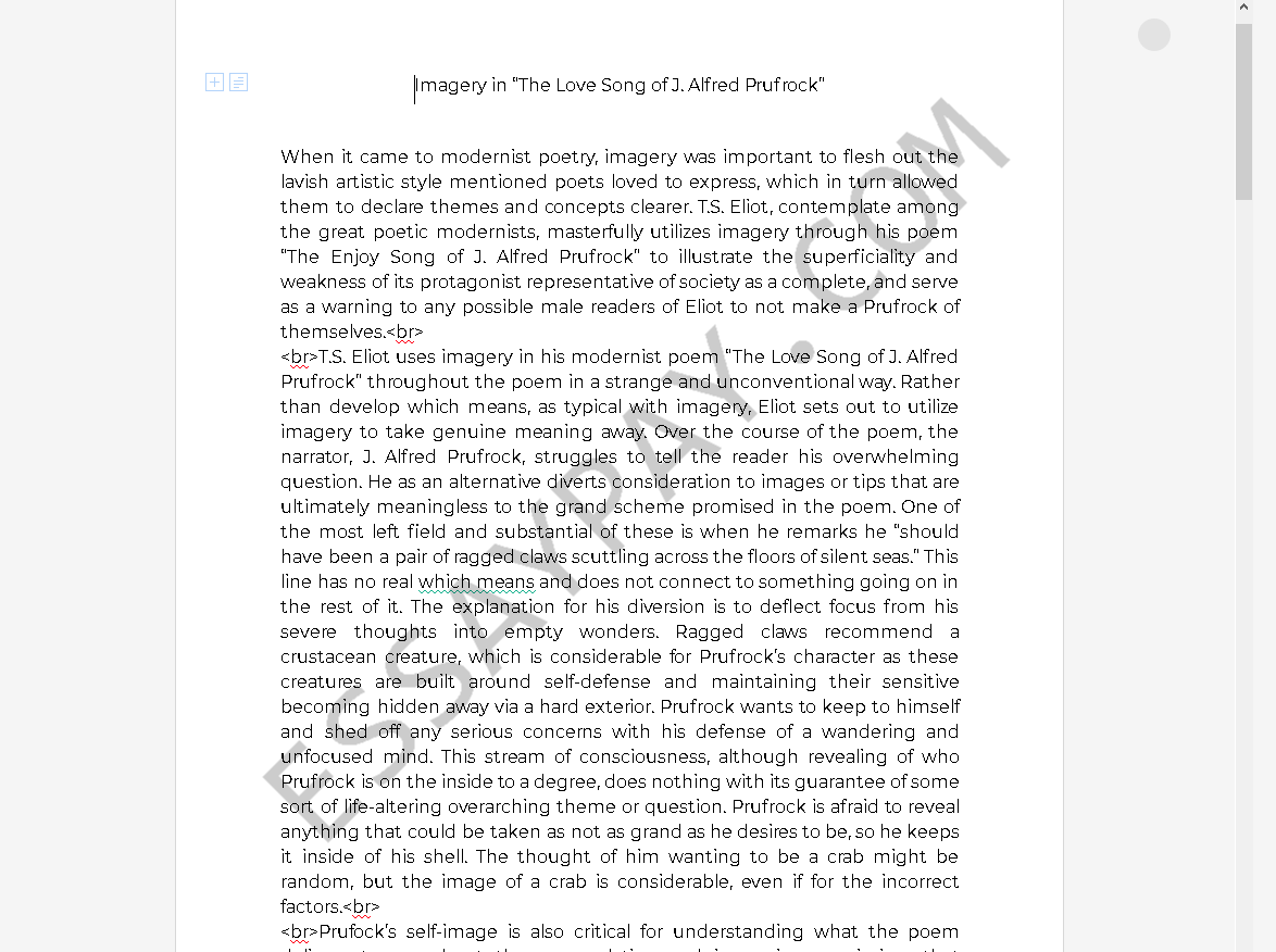 imagery essay in english