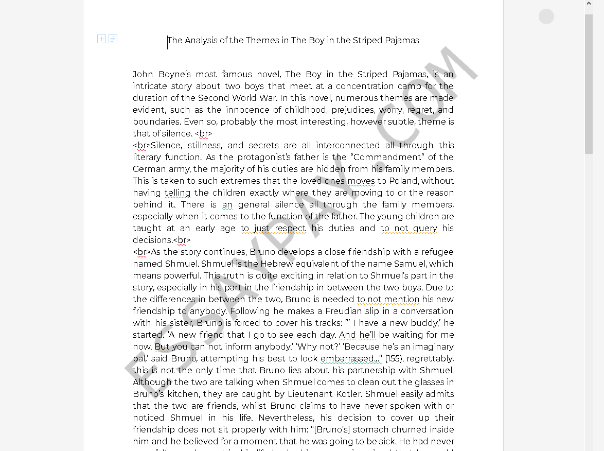 3 paragraph essay about the boy in the striped pajamas