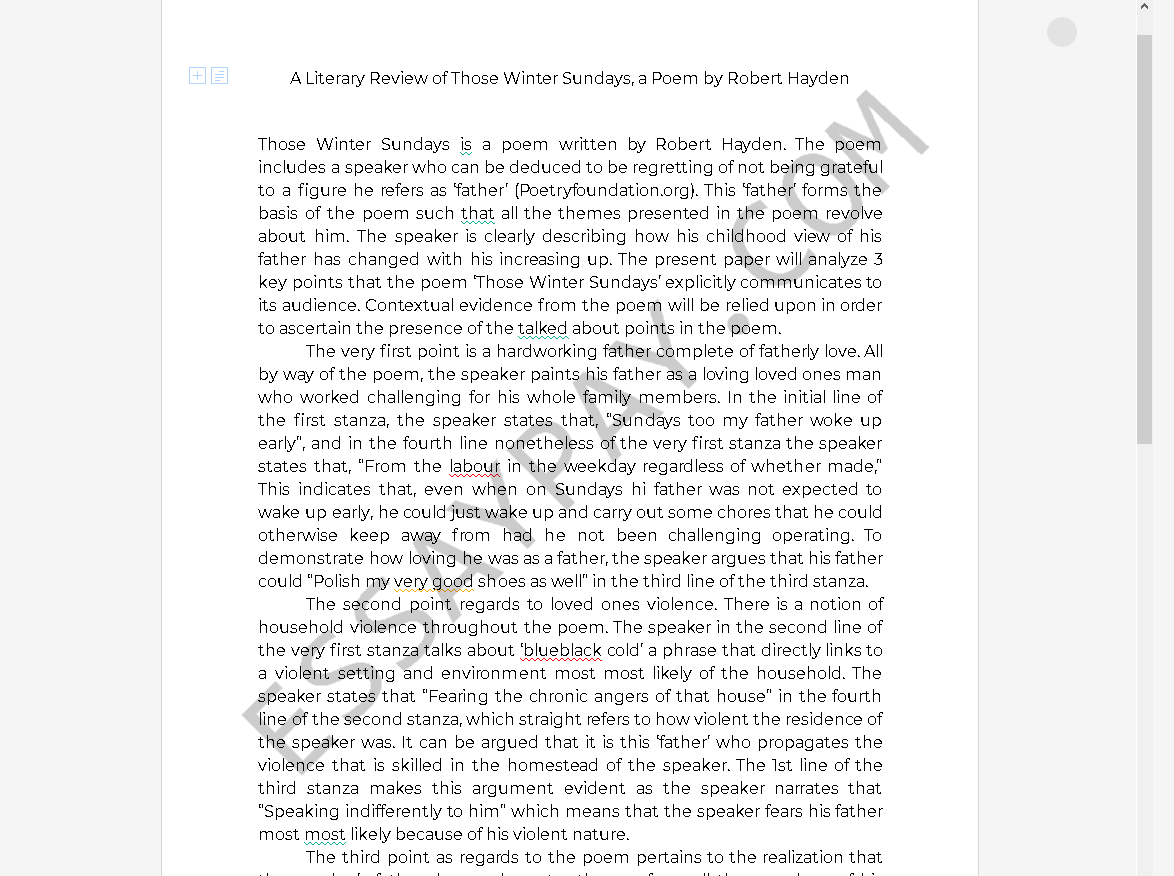 those winter sundays pdf - Free Essay Example
