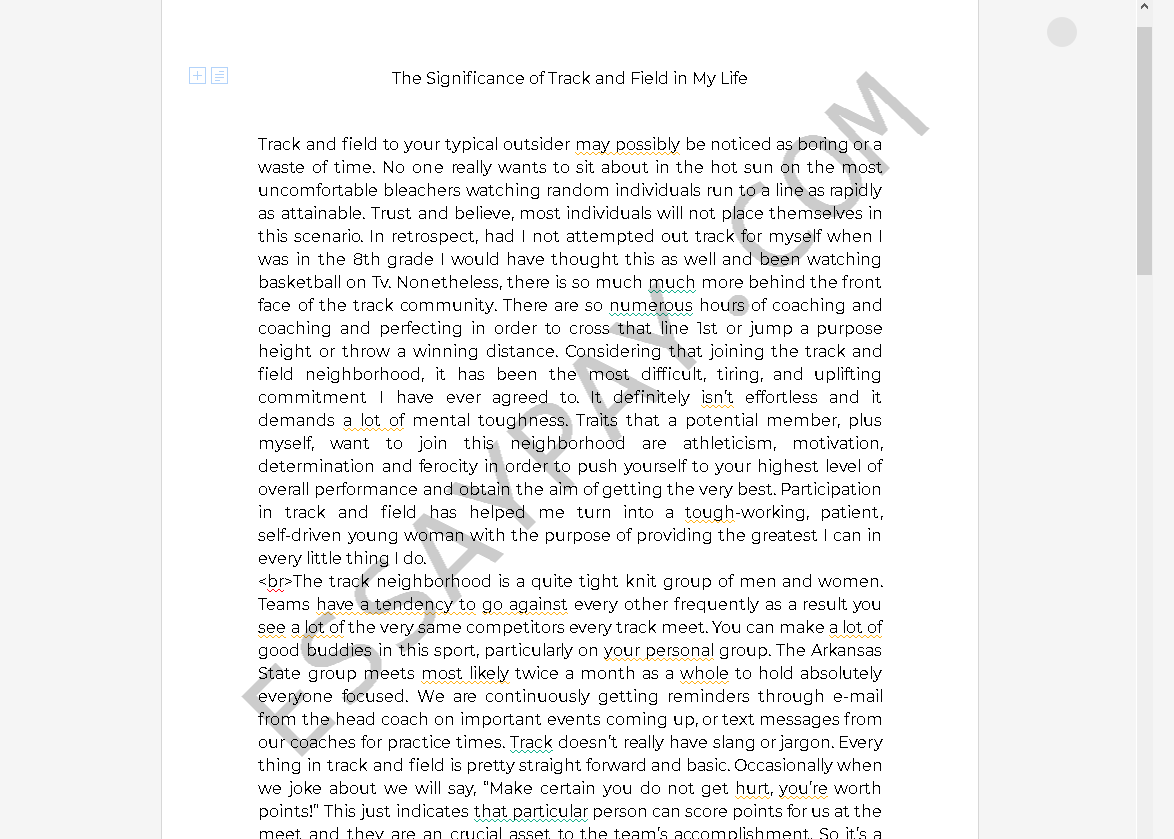 200 300 word essay example