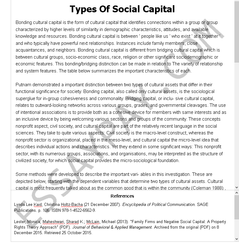 types of social capital - Free Essay Example