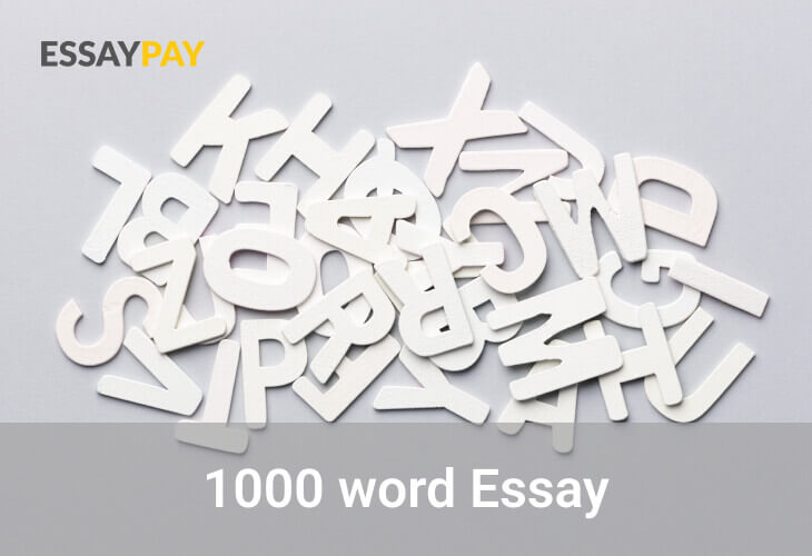 1000 word Essay